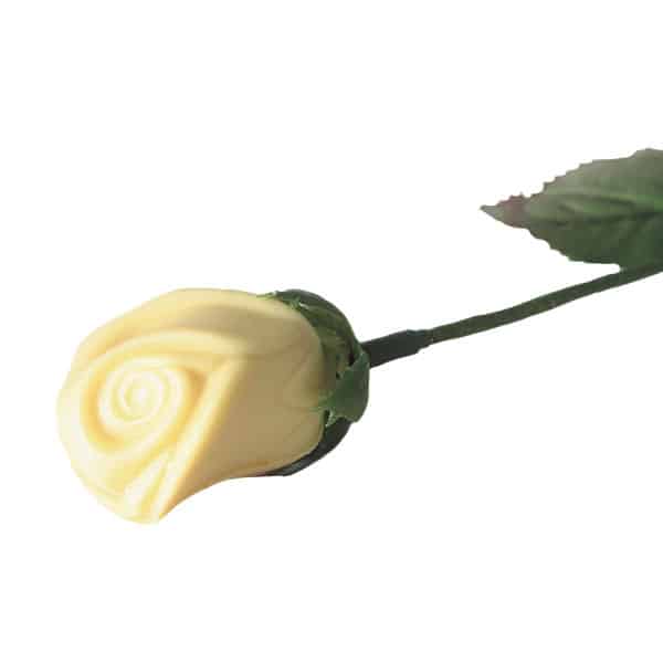 Bruyerre Chocolates - Rose Blanche